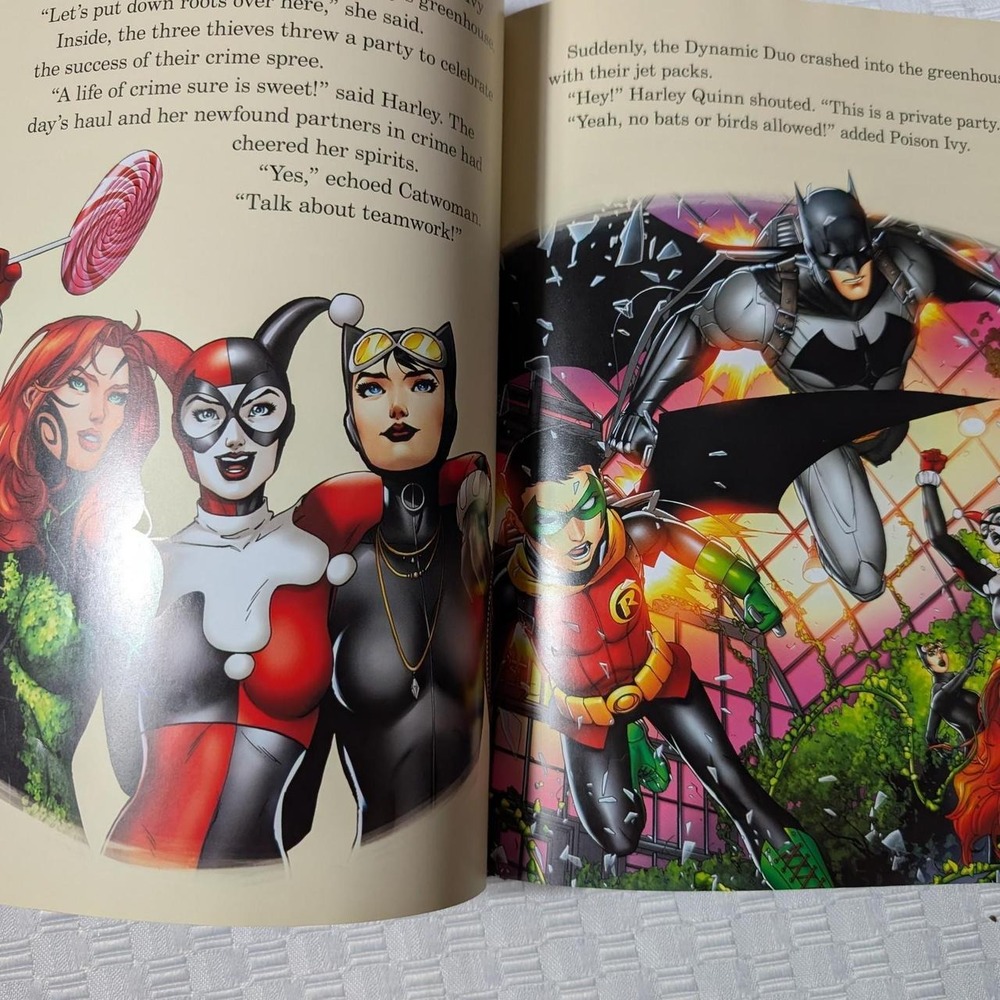 Batman Book - Picture 4 of 4